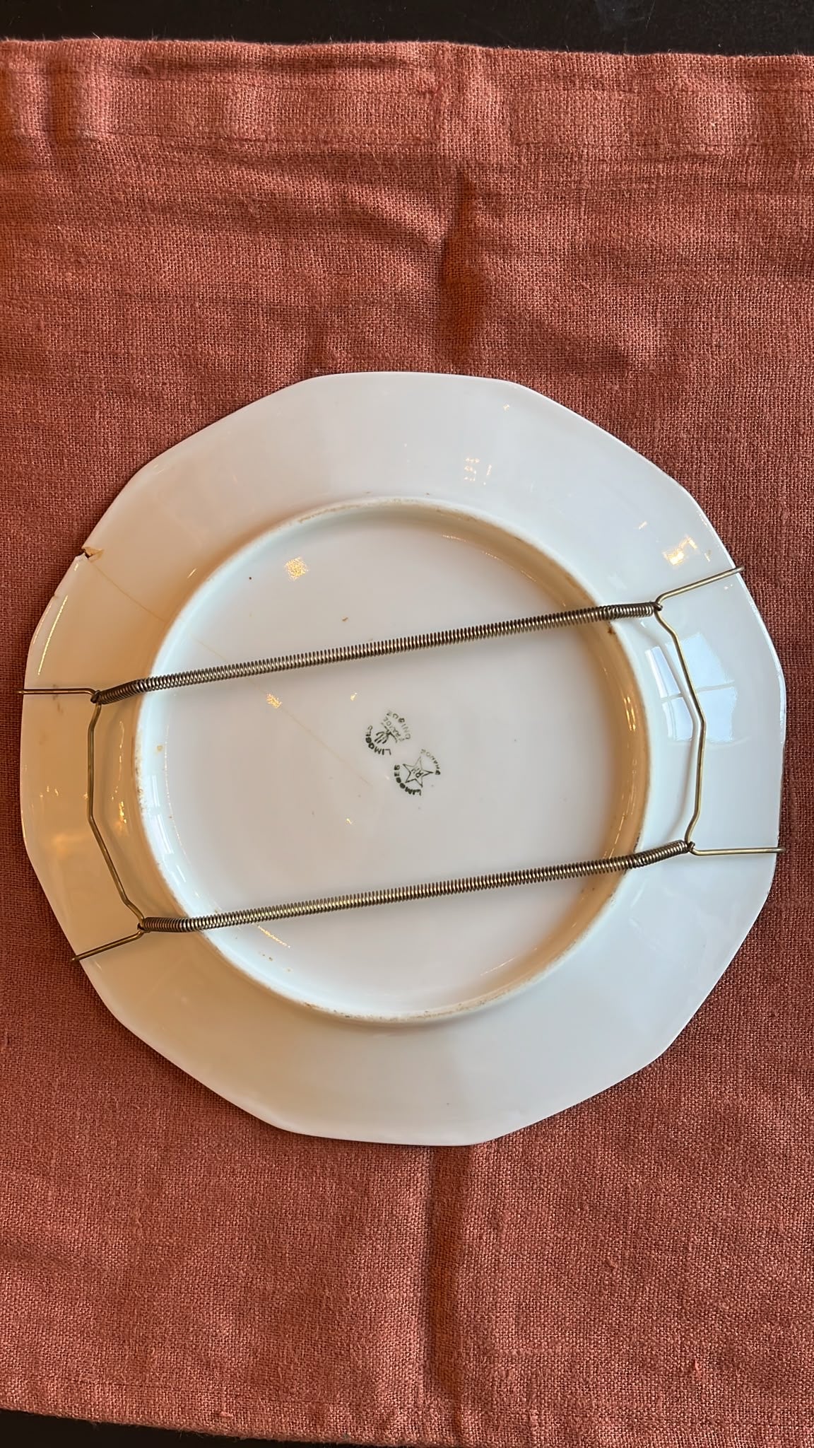 Paire assiettes Limoges peintes main oiseaux gibier signées 22,5 cm