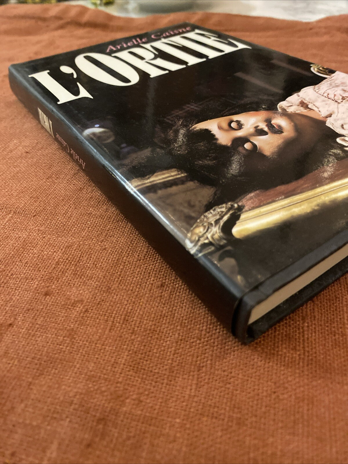 Livre L'ORTIE / Arielle CAISNE
