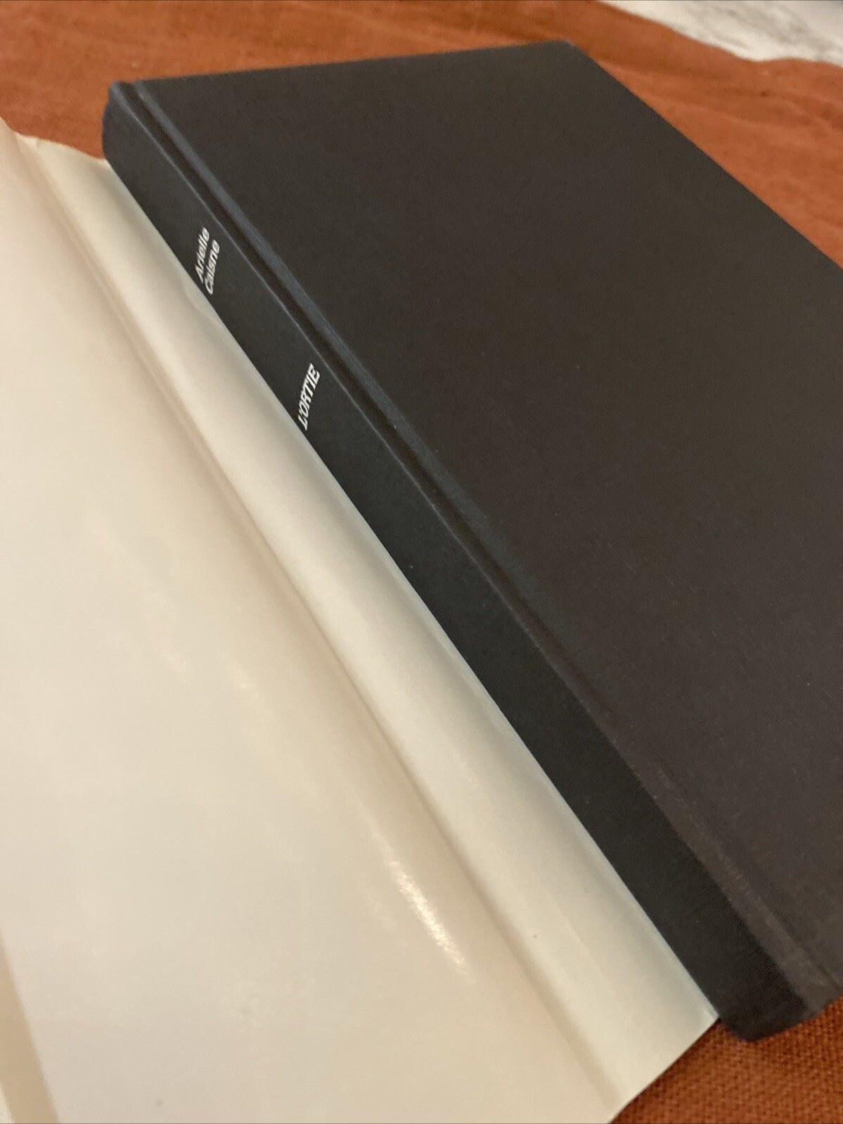 Livre L'ORTIE / Arielle CAISNE