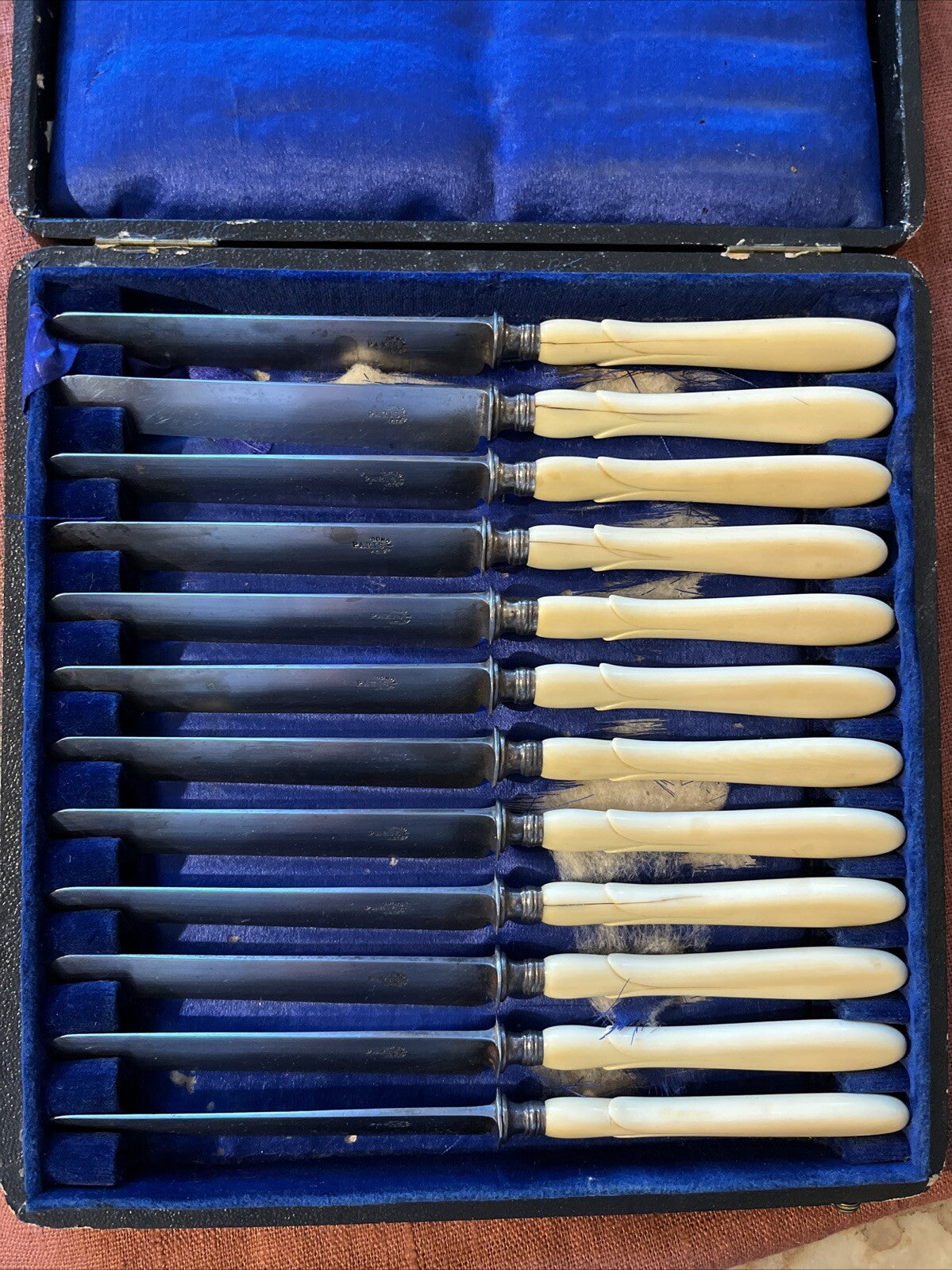 Coffret 12 Petits Couteaux A. Sedan Corne Et Acier Paris