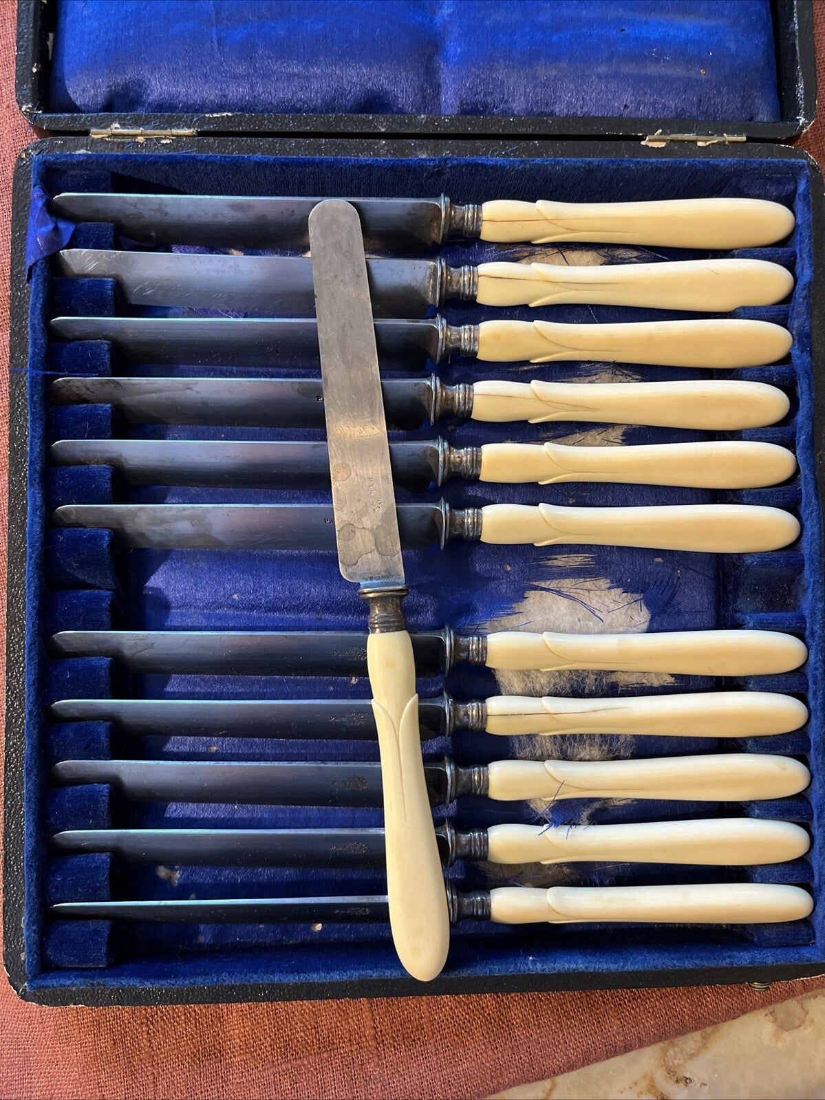 Coffret 12 Petits Couteaux A. Sedan Corne Et Acier Paris