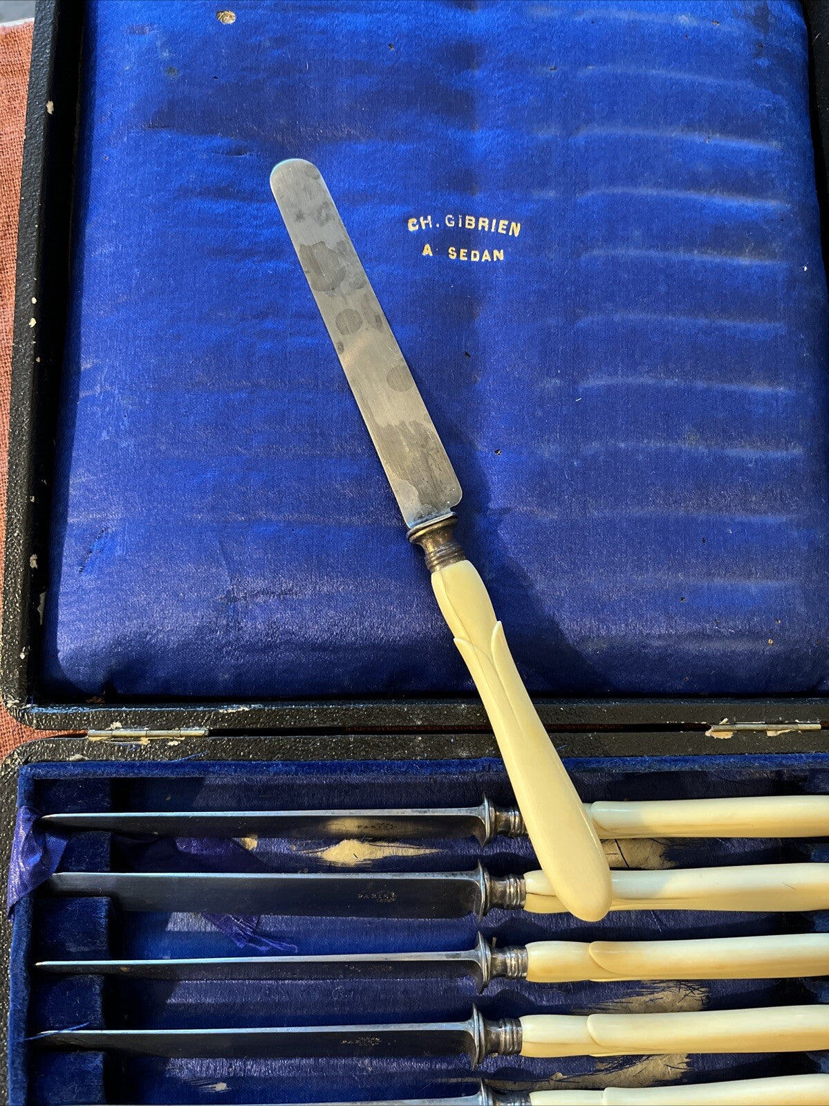 Coffret 12 Petits Couteaux A. Sedan Corne Et Acier Paris