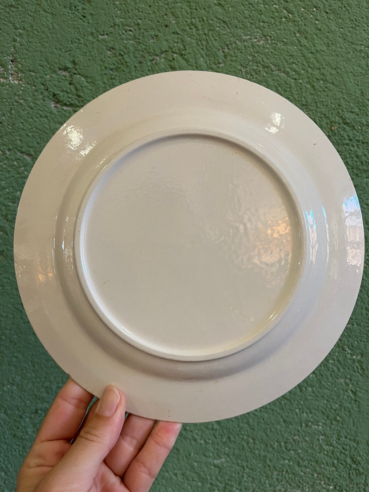 Lot de 8 assiettes plates à décor fleuri bleu (5 petites et 3 grandes)