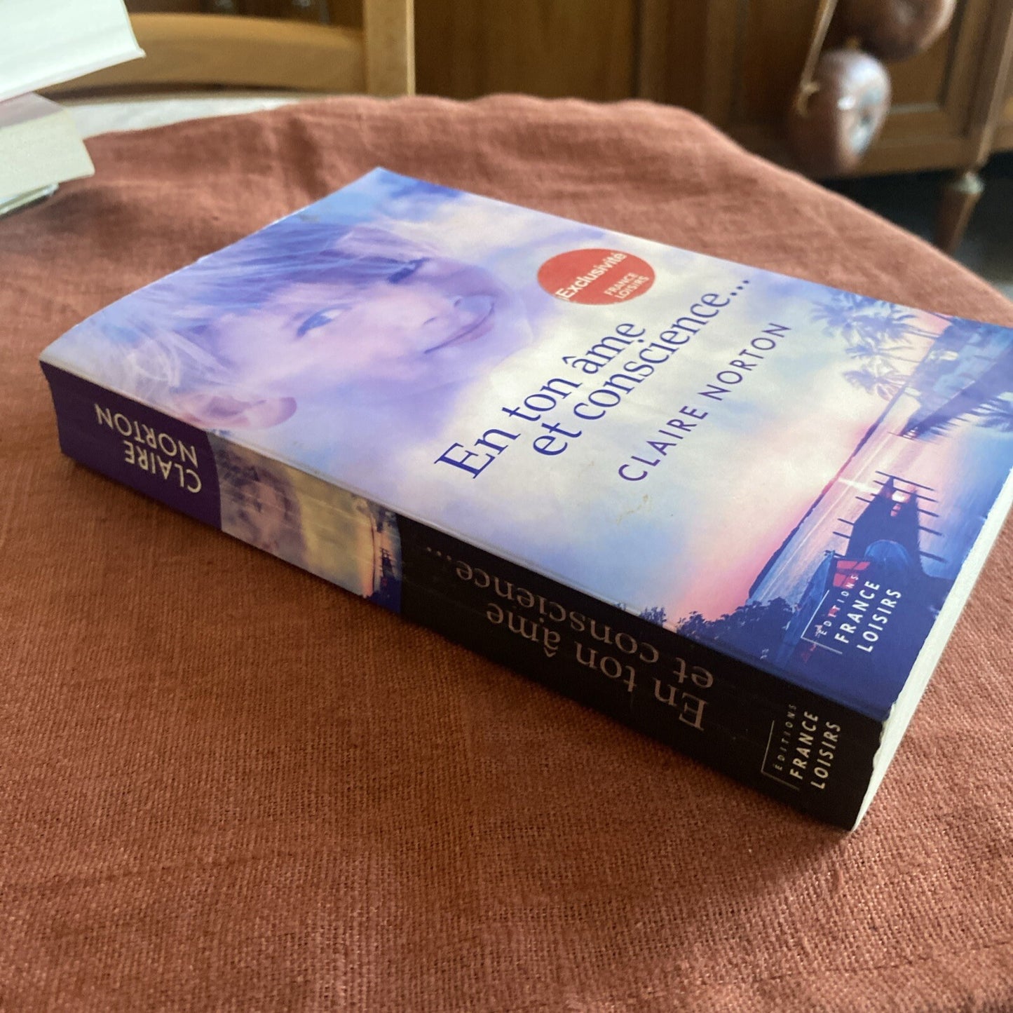 Livre roman policier thriller En ton âme et conscience...de Claire Norton