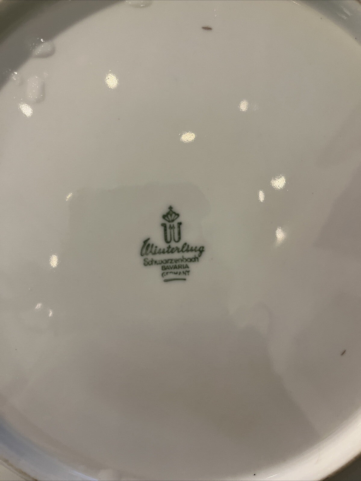 Assiette En Porcelaine Winterling Schwarzenbach Bavaria Germany