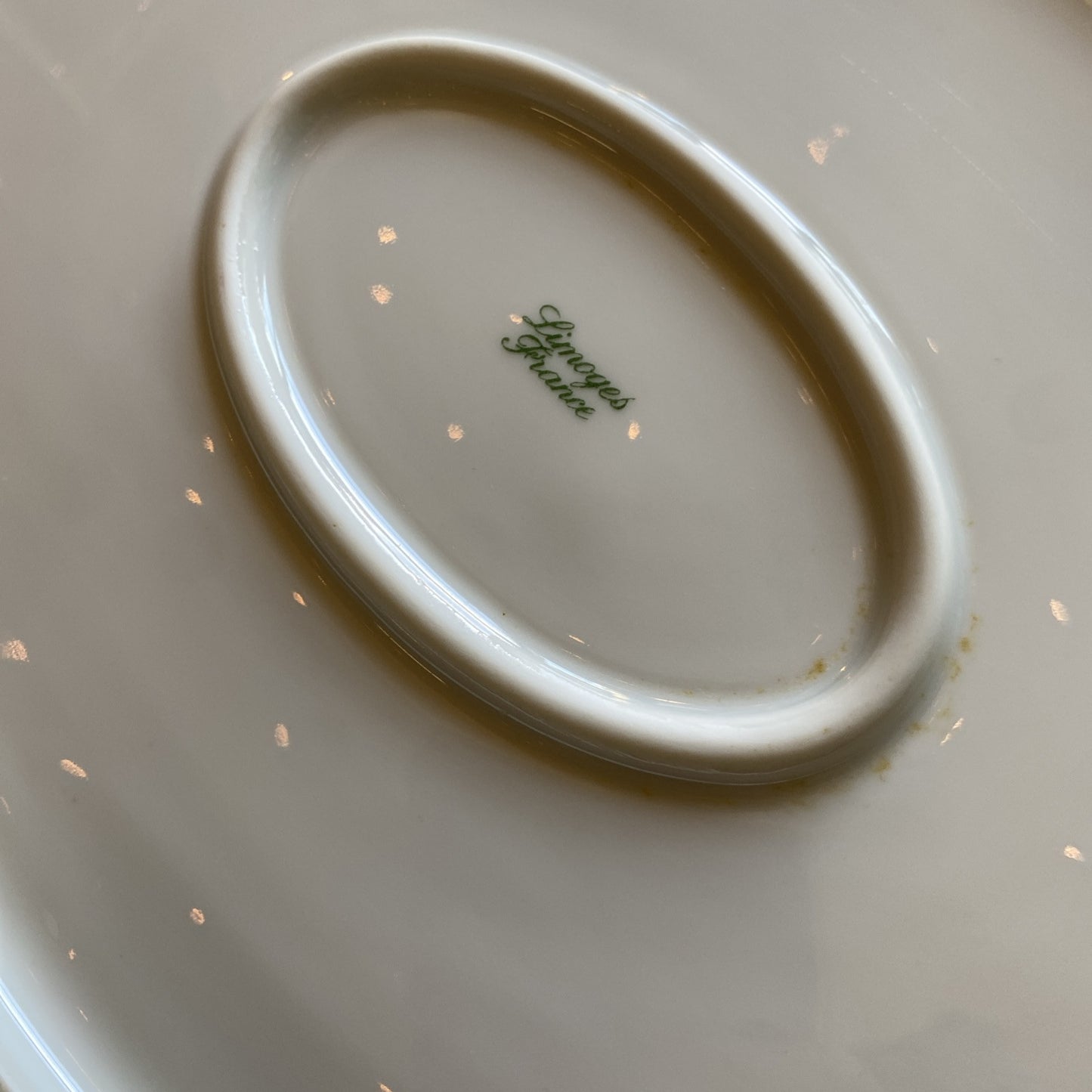 8 Assiettes Et 1 Plat Oval Porcelaine De Limoges Décor Floral