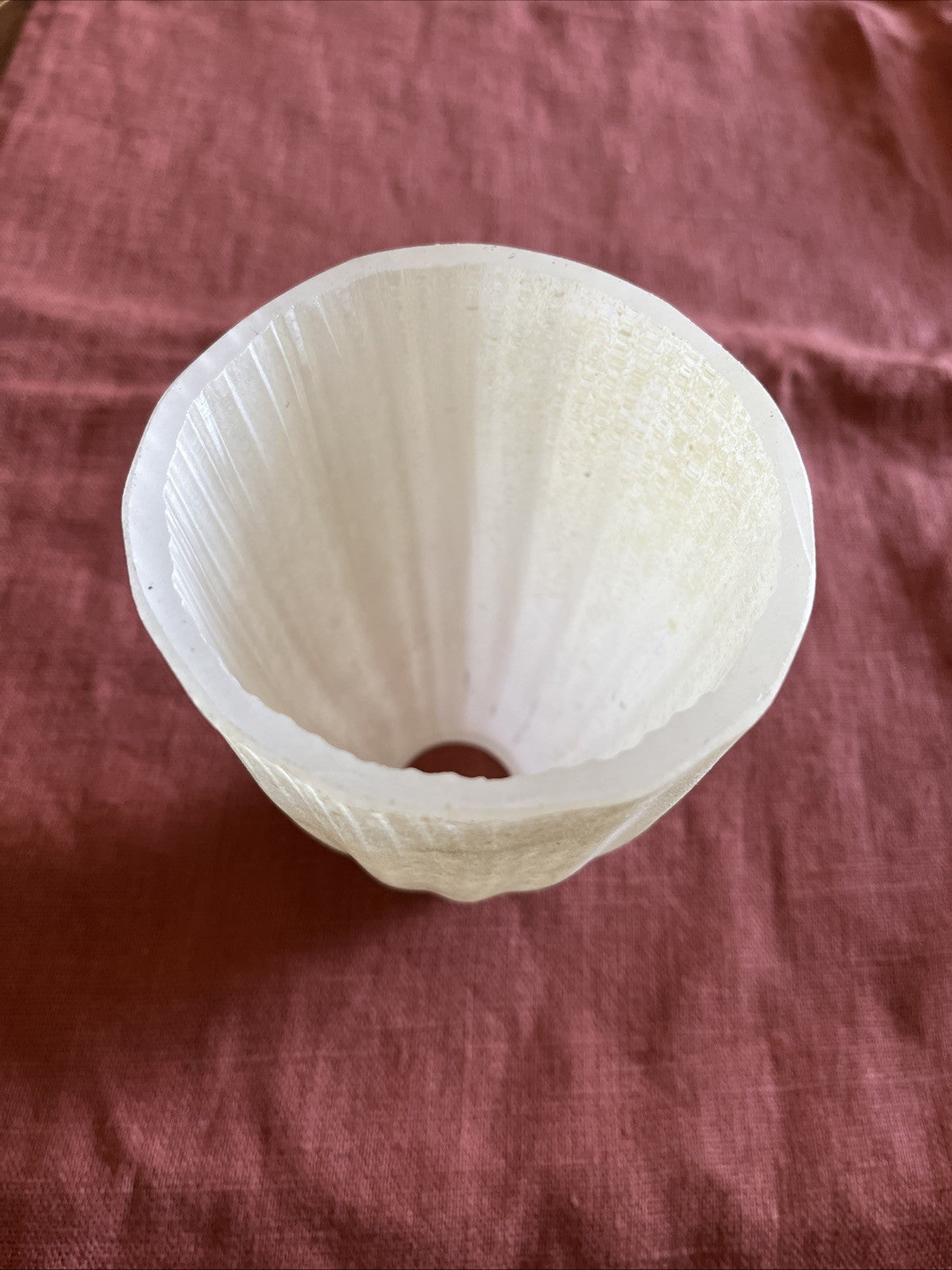 Tulipe