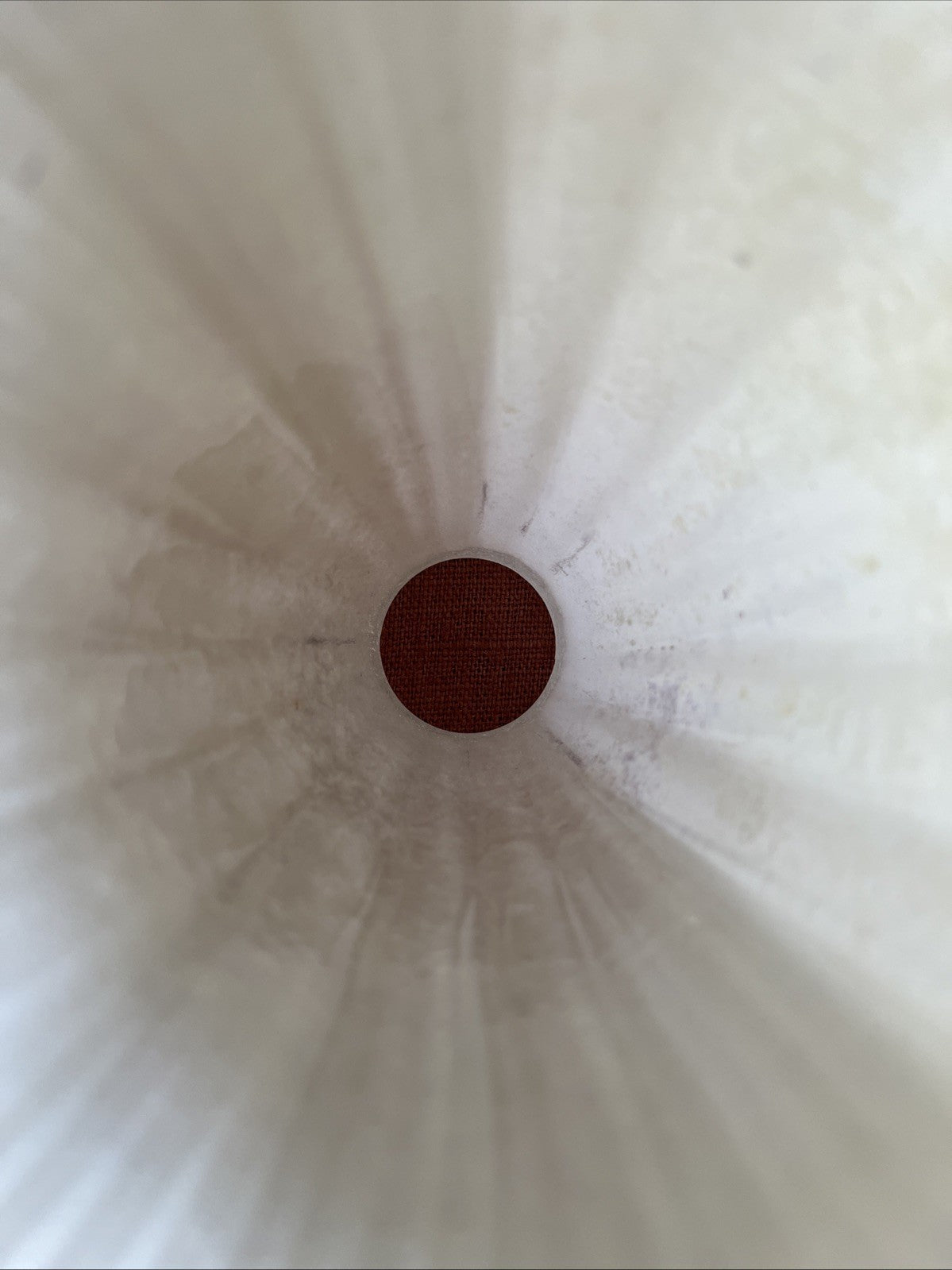 Tulipe