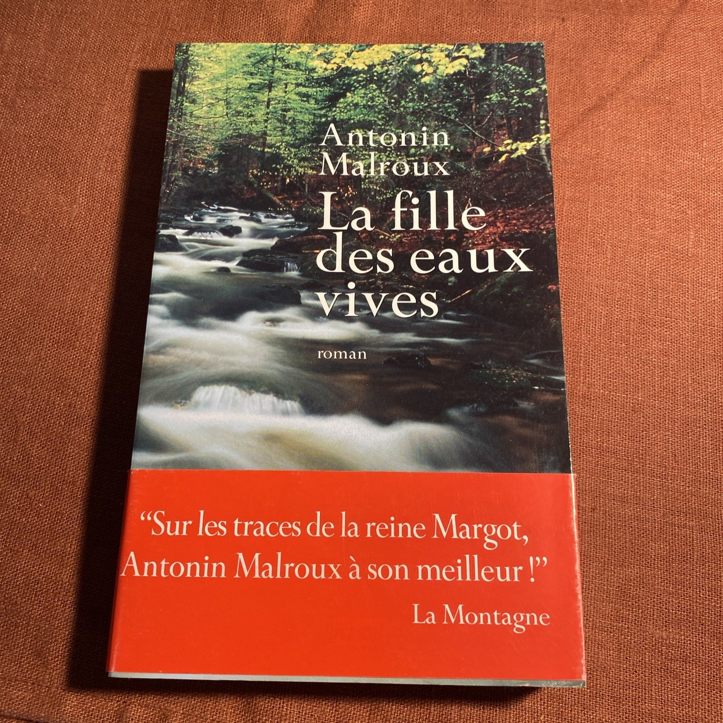 Livre La fille des eaux vives - Antonin Malroux -