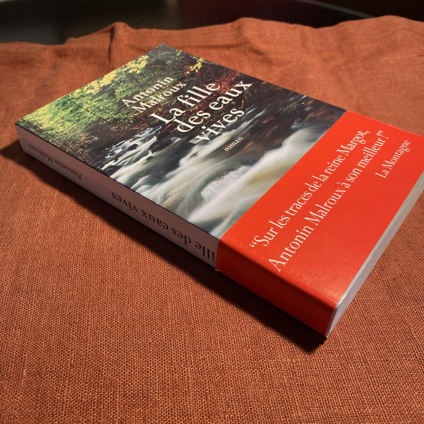 Livre La fille des eaux vives - Antonin Malroux -
