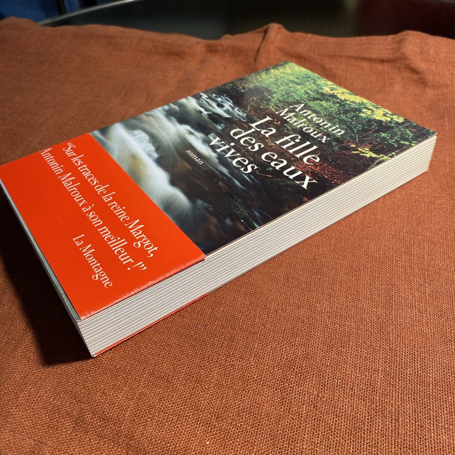 Livre La fille des eaux vives - Antonin Malroux -