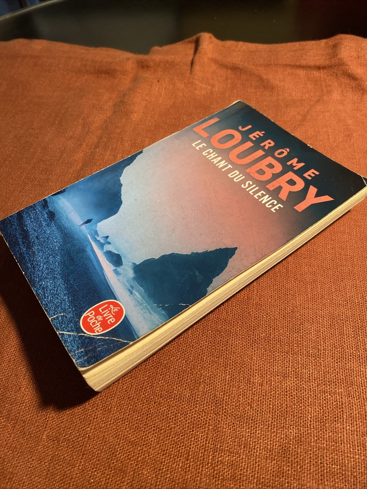 Le Chant du silence - Jérôme Loubry - livre -