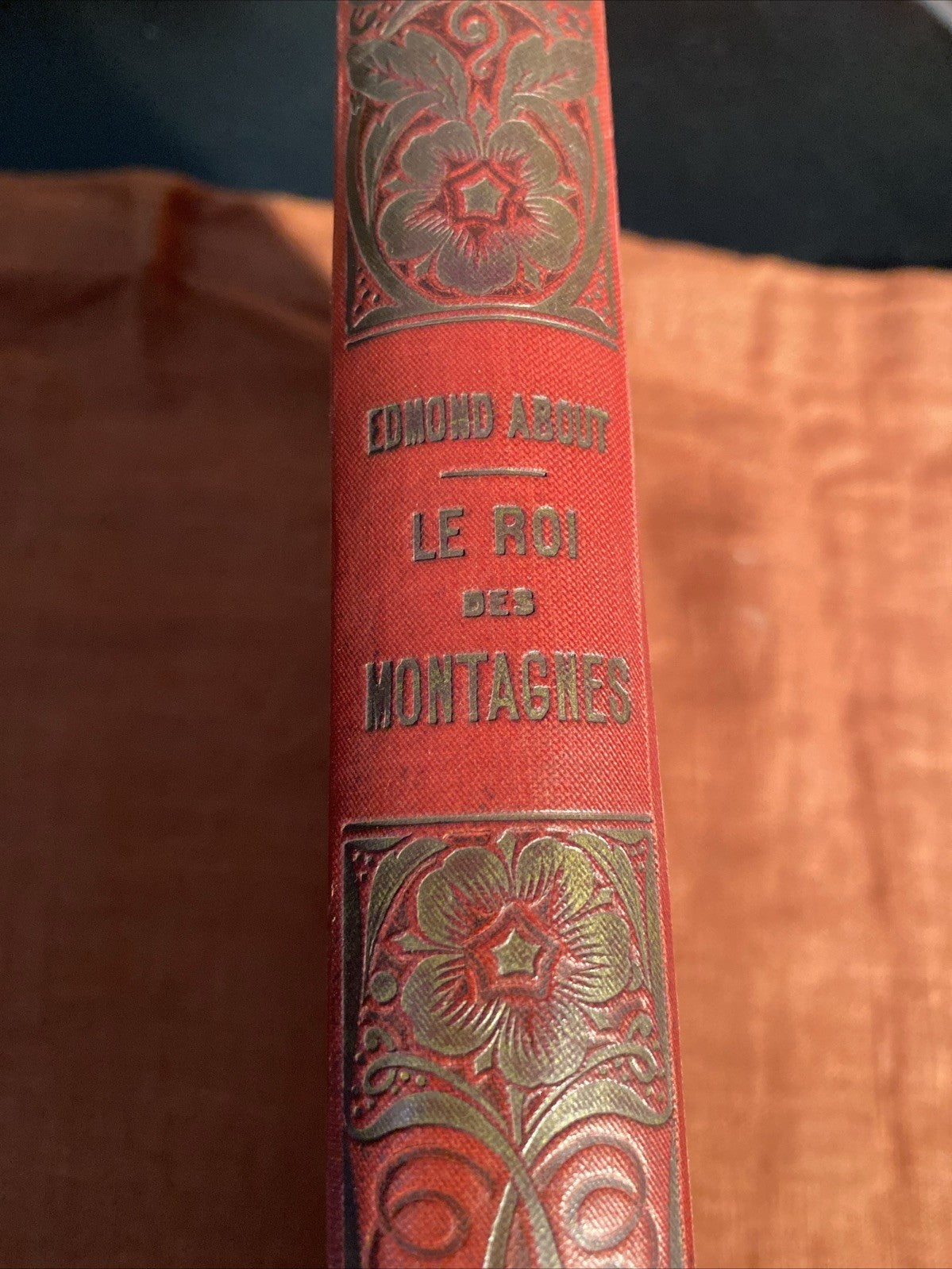 Livre Le Roi des montagnes, par Edmond About