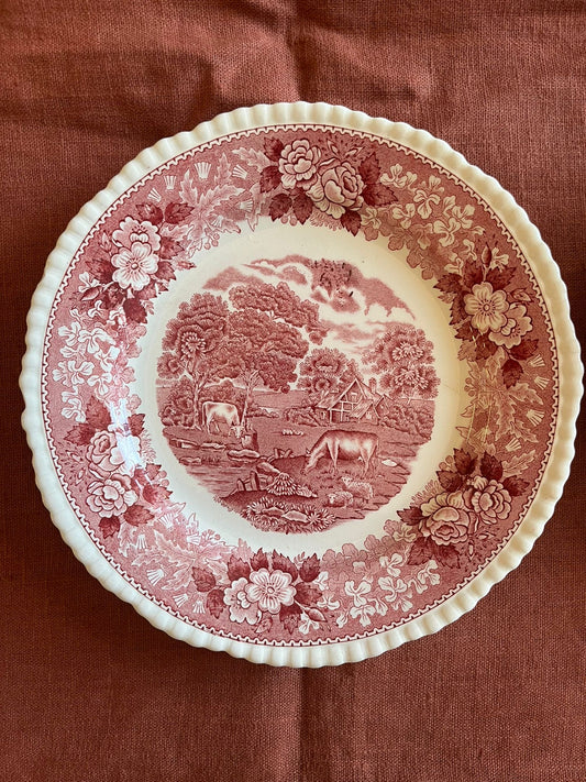 Paire d’assiettes Adams English Scenic Staffordshire décor rose anglais vintage