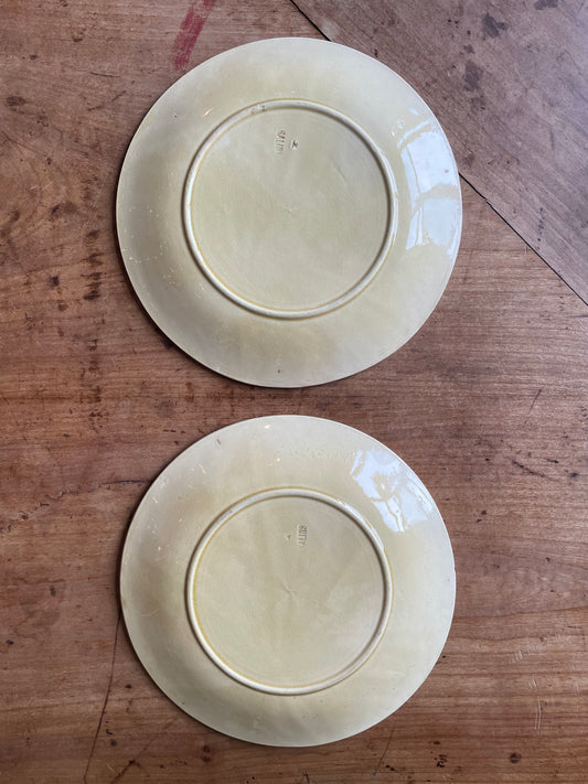 Paire assiettes barbotine Gien châtaignes feuilles faïence ancienne XIXe