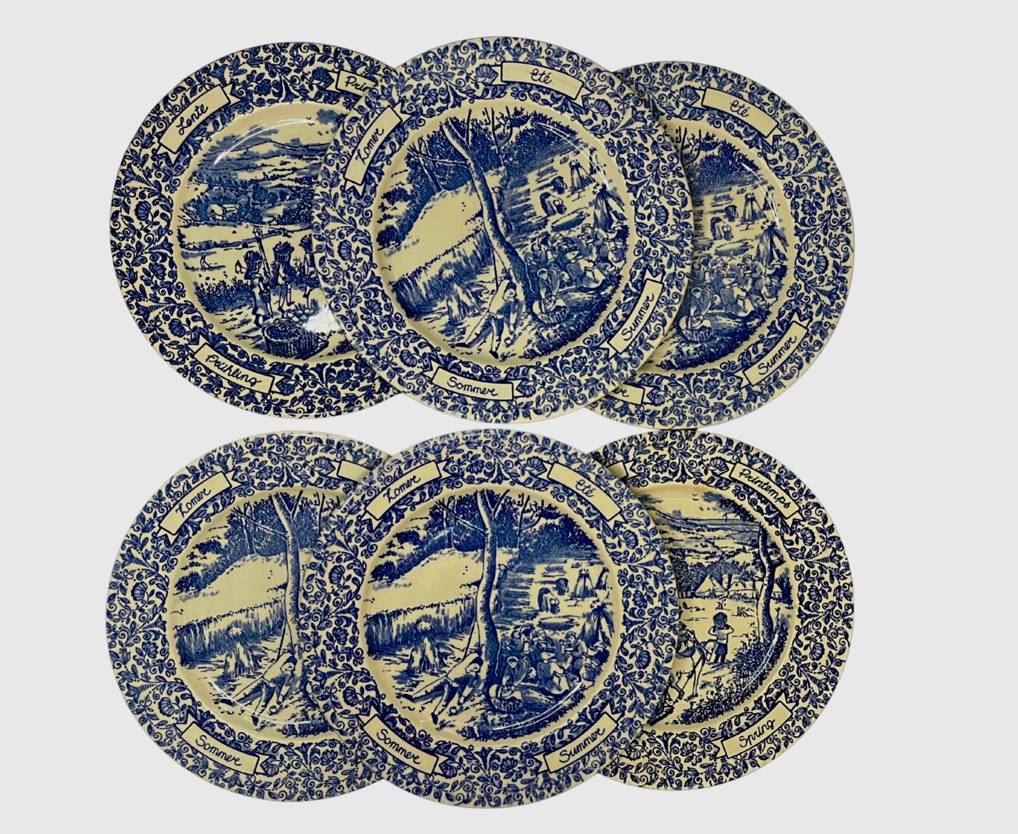 Ensemble de 6 assiettes printemps été