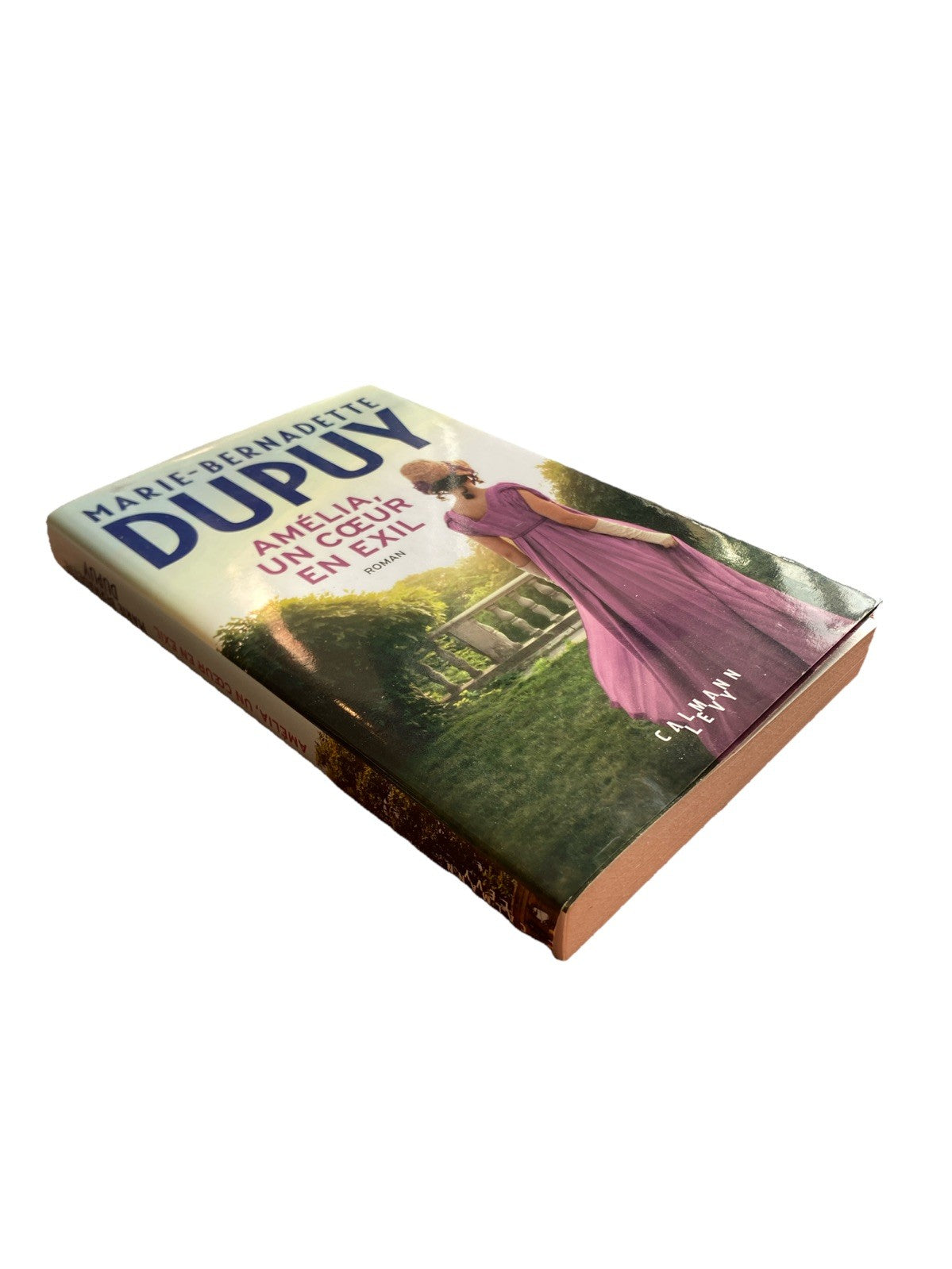 Marie-Bernadette Dupuy Amélia un cœur en exil tranche livre