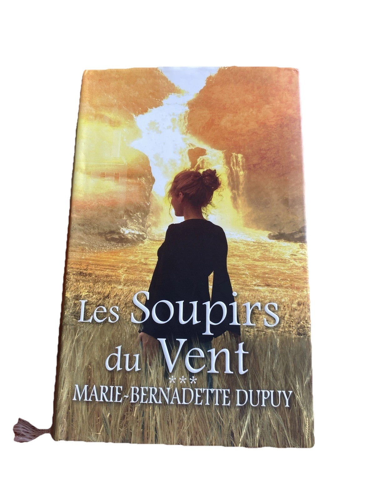 Les soupirs du vent, Marie-Bernadette Dupuy
