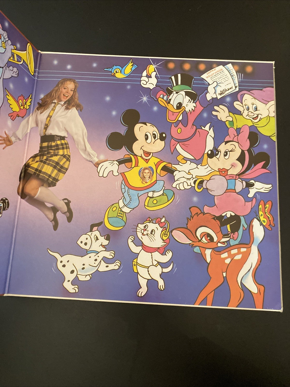 Vinyle Douchka – Disney (Ibach)