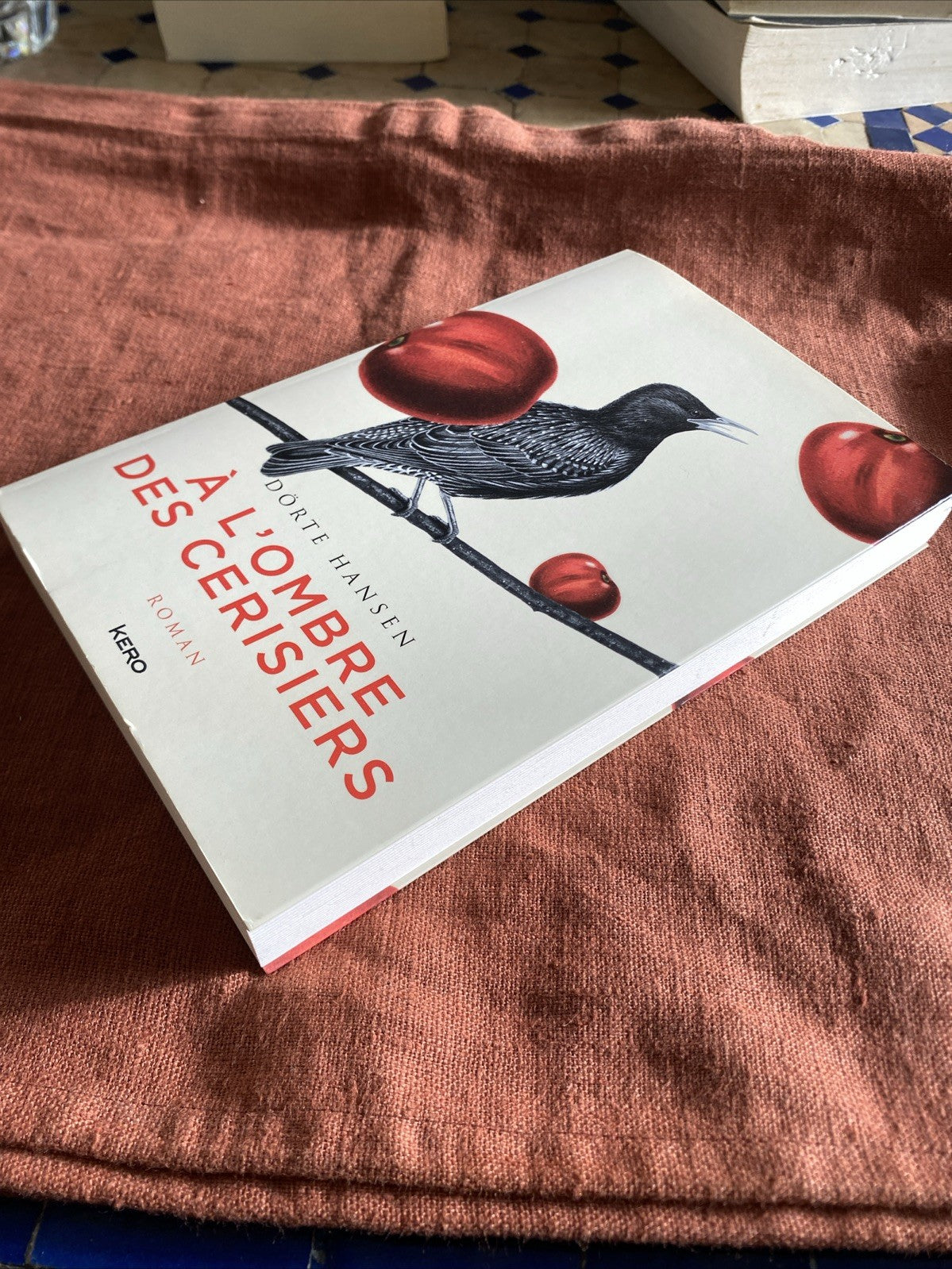 A l’ombre des cerisiers Dörte Hansen tranche livre