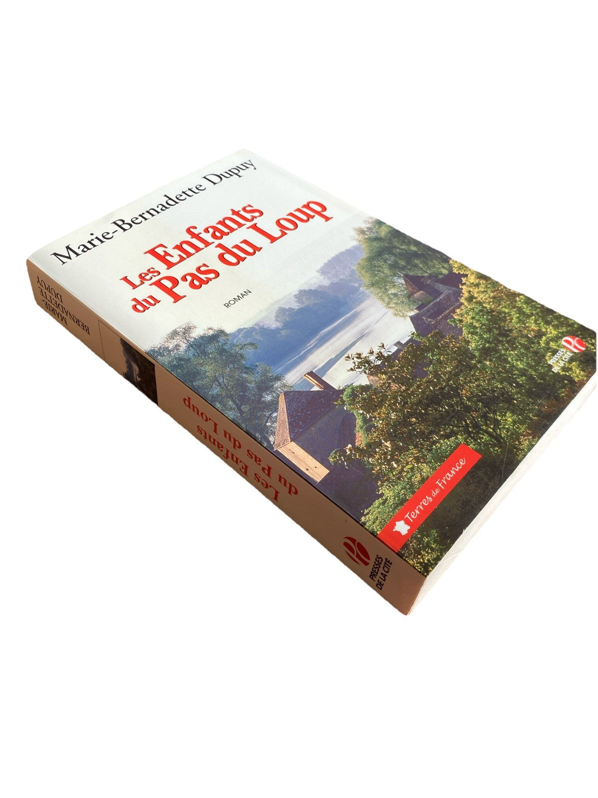 Les enfants du Pas du Loup, Marie-Bernadette Dupuy
