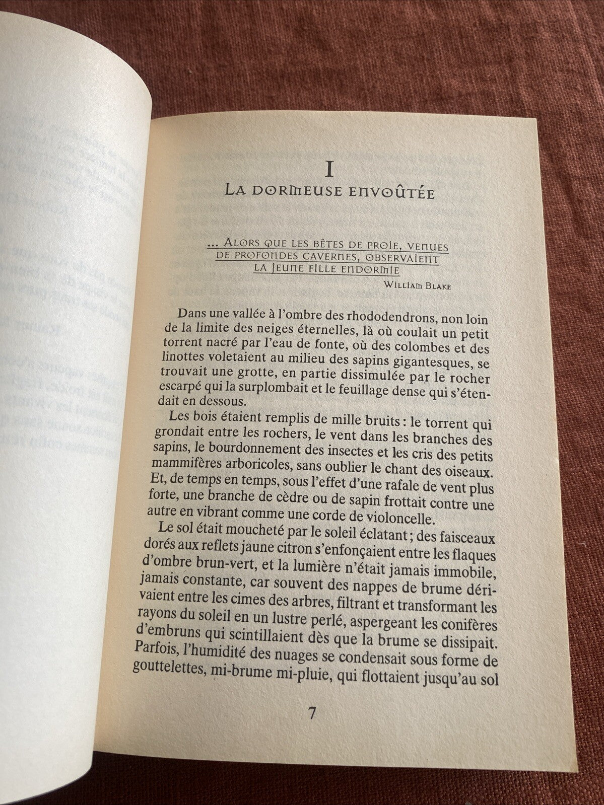 Livre A la croisee des mondes, tome 3 : Le Miroir d'Ambre de Philip Pullman