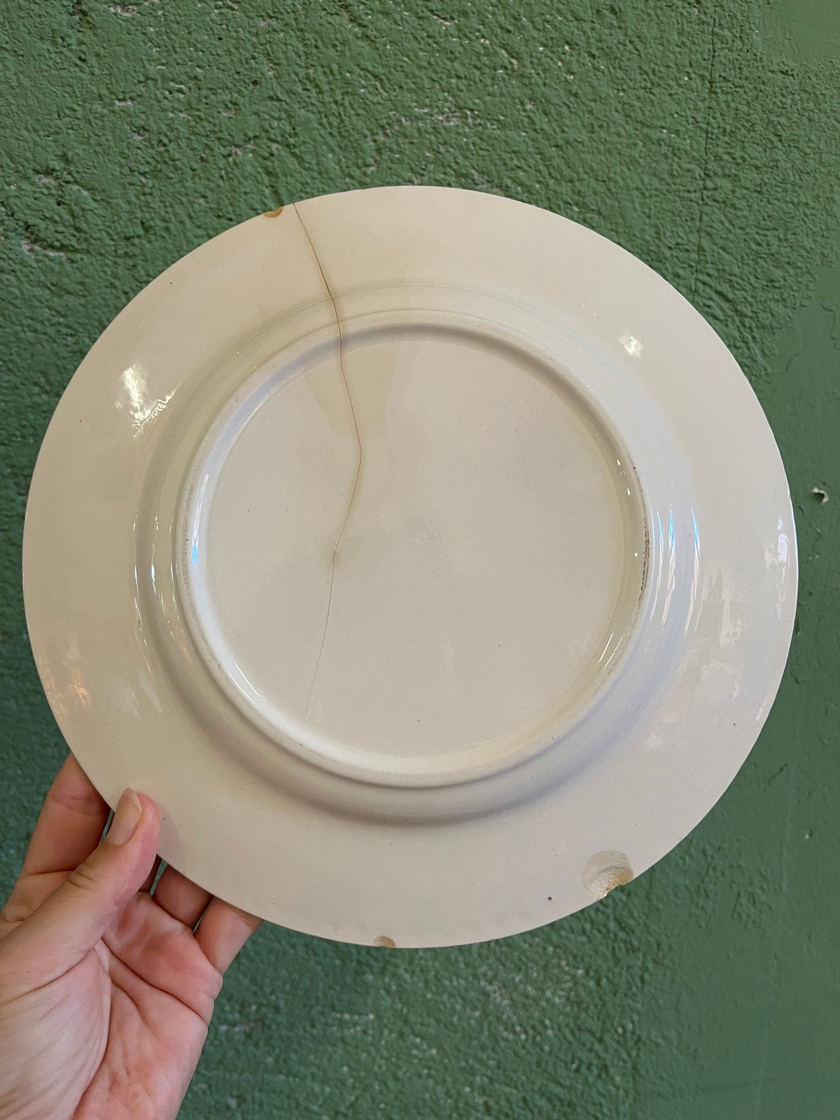 Lot de 8 assiettes plates à décor fleuri bleu (5 petites et 3 grandes)