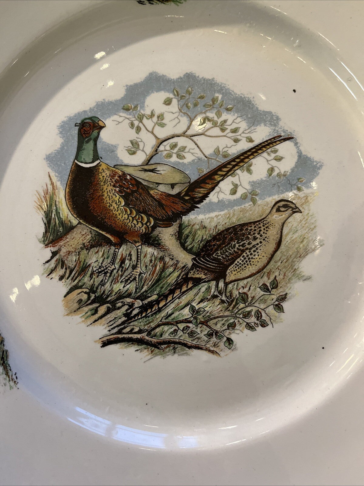 Assiette Plate Limcolor Décor Chasse