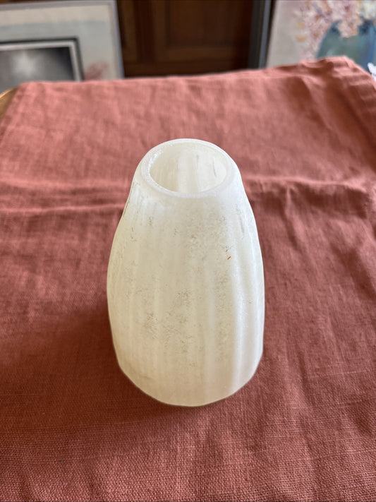 Tulipe