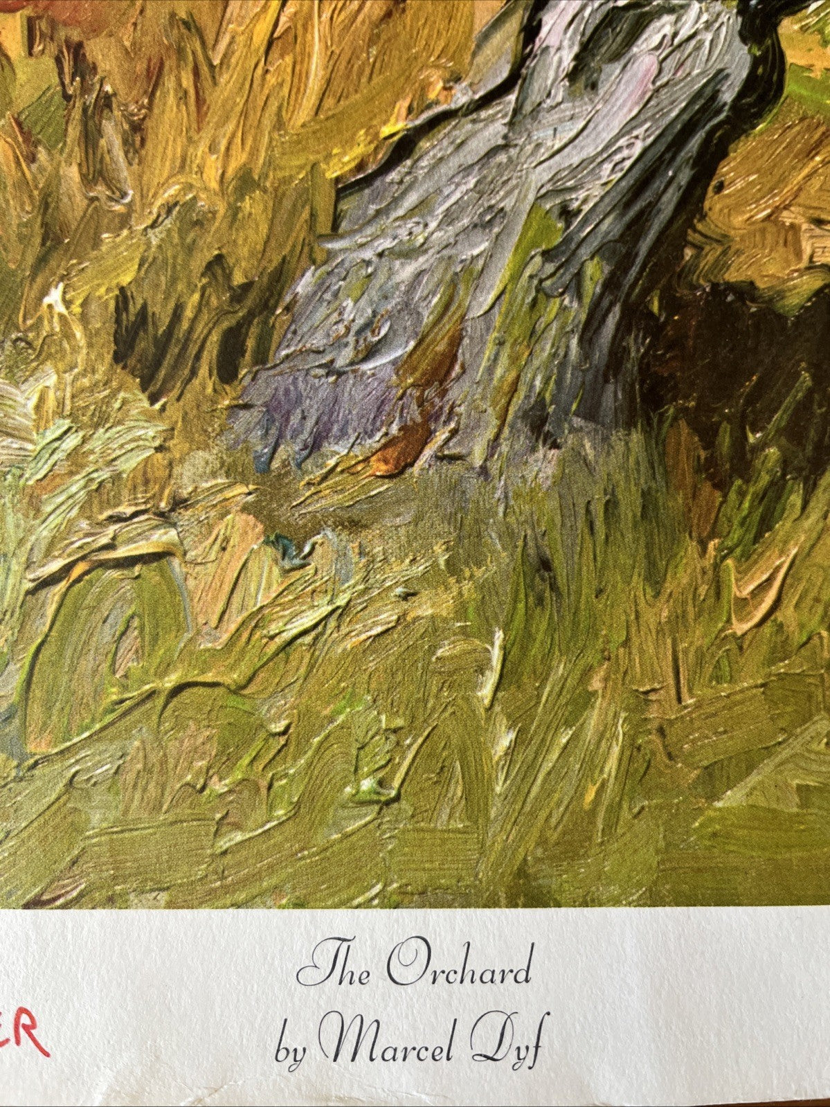Lithographie Impression Affiche « Le Verger » Par Marcel Dyf