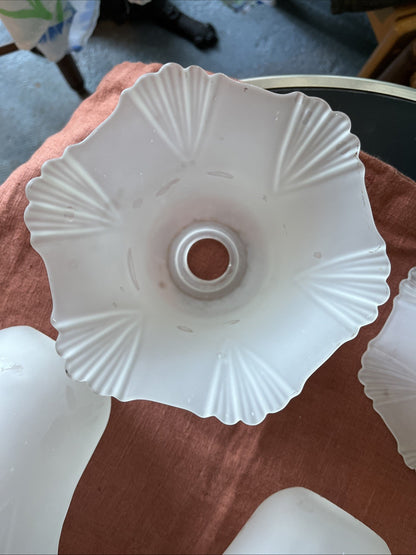 Lot De 5 Tulipes Verre