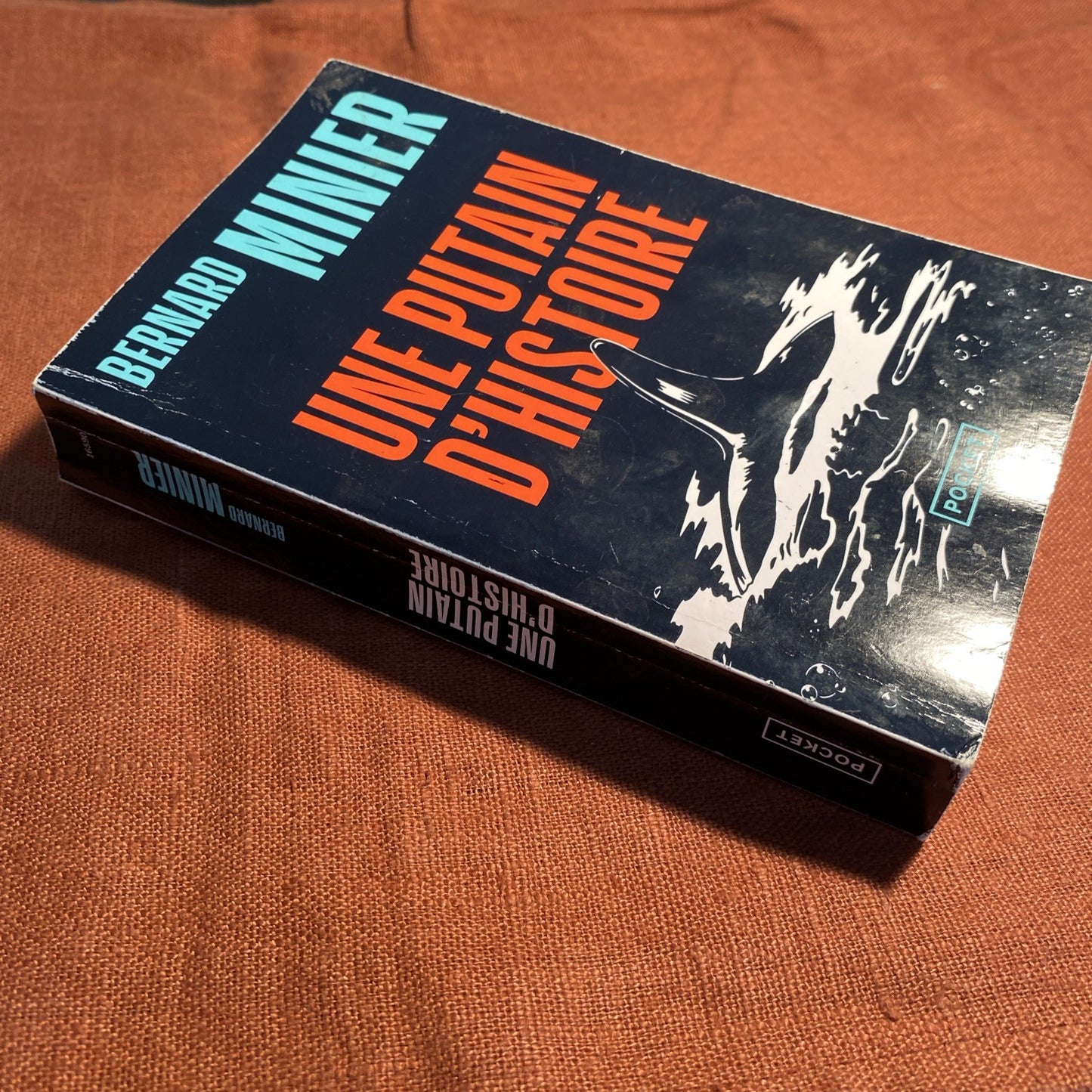 Livre Une putain d'histoire - Bernard Minier - V460858