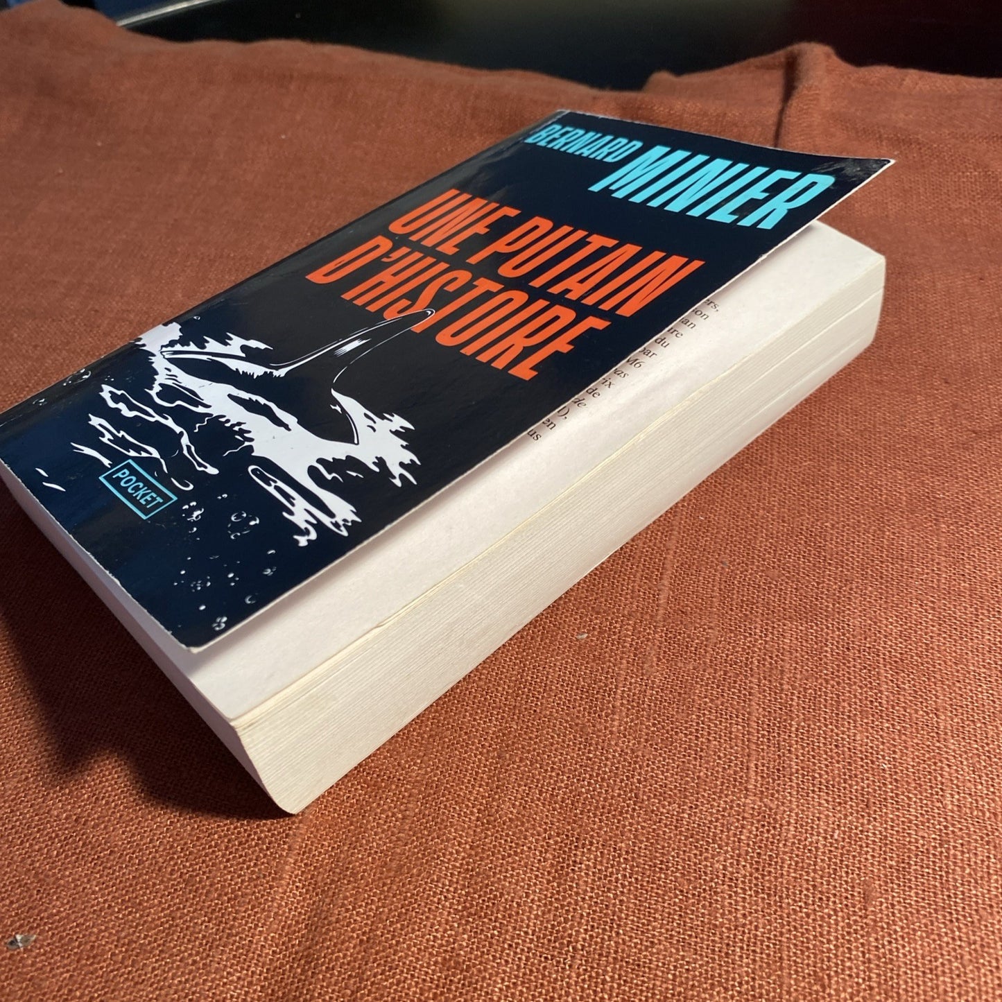 Livre Une putain d'histoire - Bernard Minier - V460858