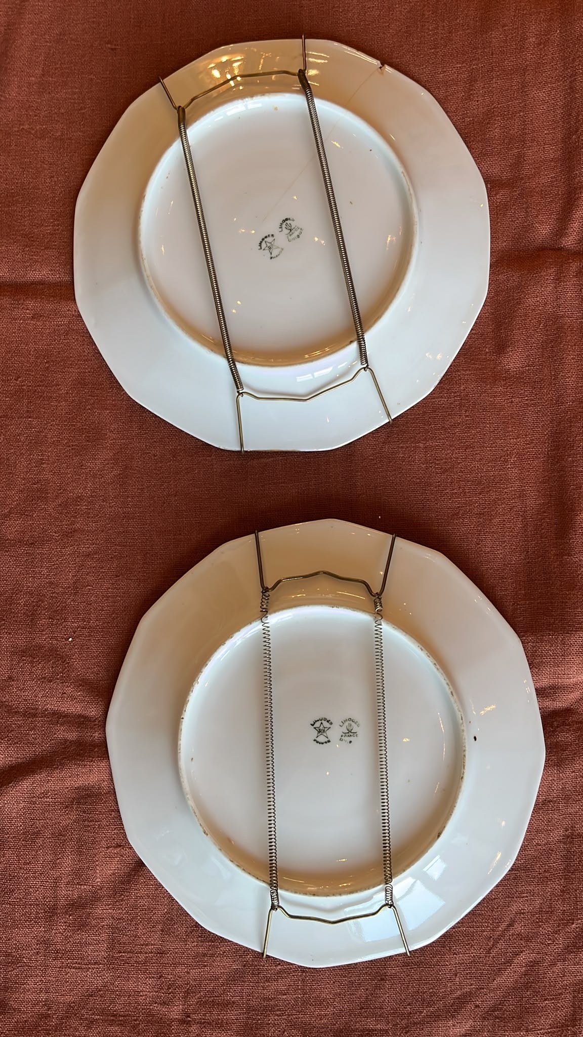 Paire assiettes Limoges peintes main oiseaux gibier signées 22,5 cm