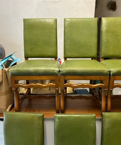 Ensemble de 6 chaises os de mouton cuir vert