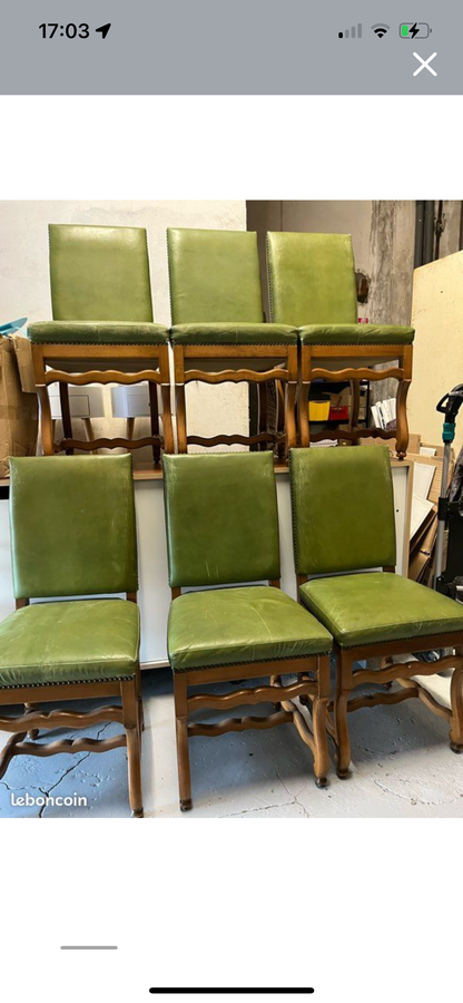 Ensemble de 6 chaises os de mouton cuir vert