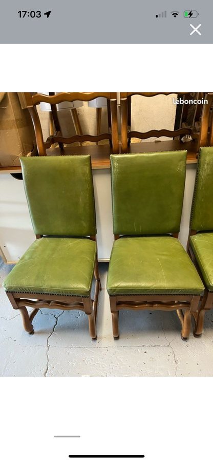 Ensemble de 6 chaises os de mouton cuir vert