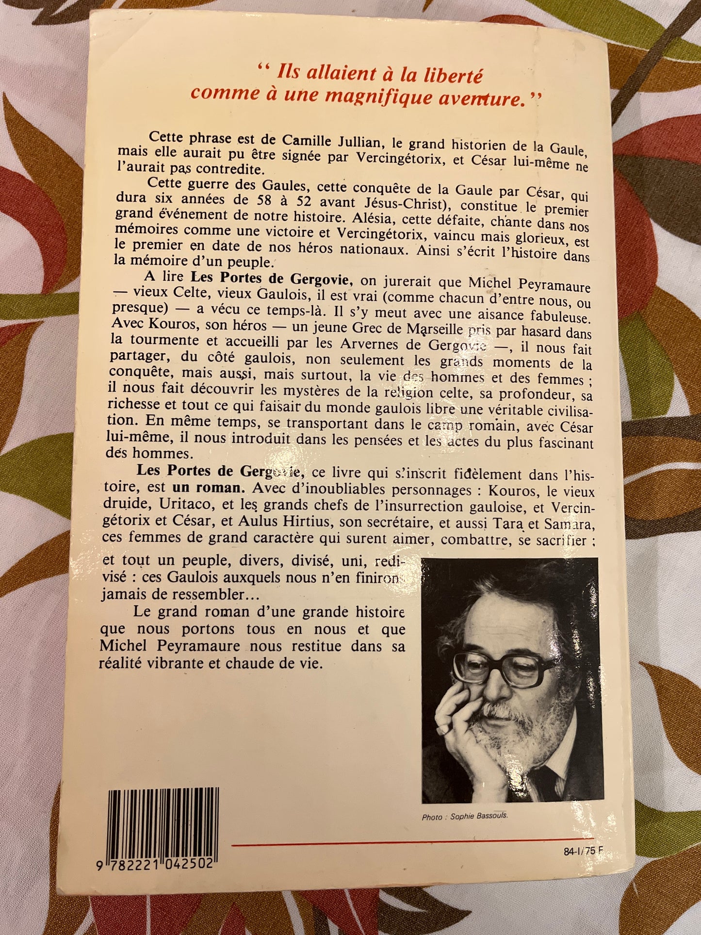 Les portes de Gergovie par Michel Peyramaure