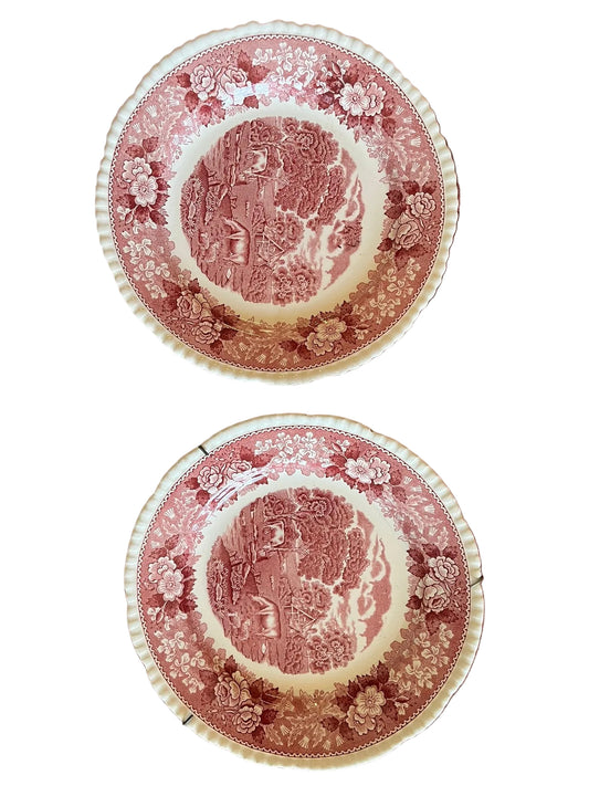 Paire d’assiettes Adams English Scenic Staffordshire décor rose anglais vintage