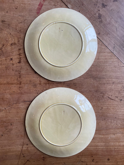 Paire assiettes barbotine Gien châtaignes feuilles faïence ancienne XIXe