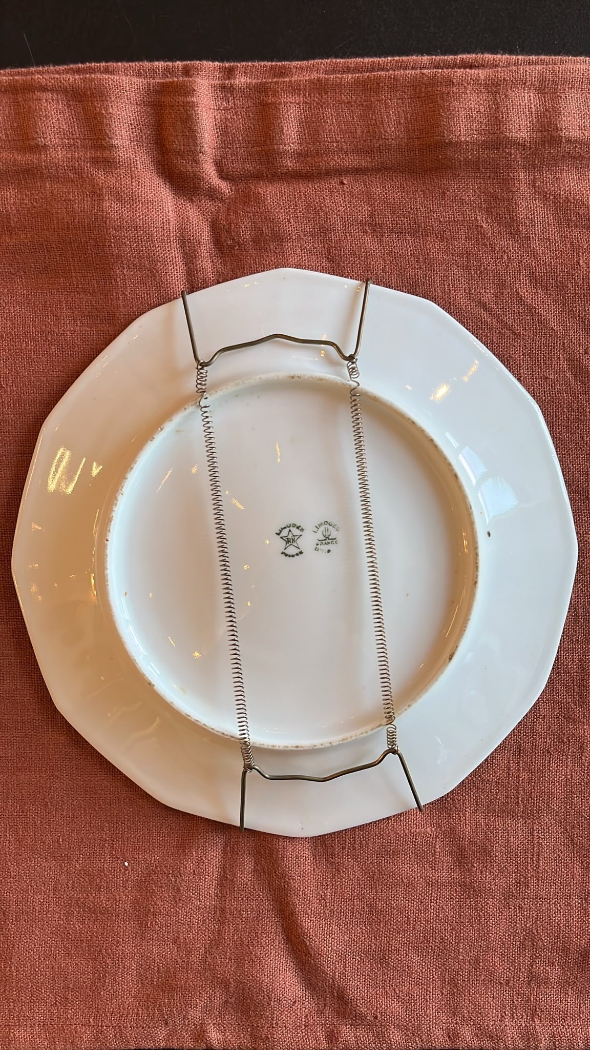 Paire assiettes Limoges peintes main oiseaux gibier signées 22,5 cm