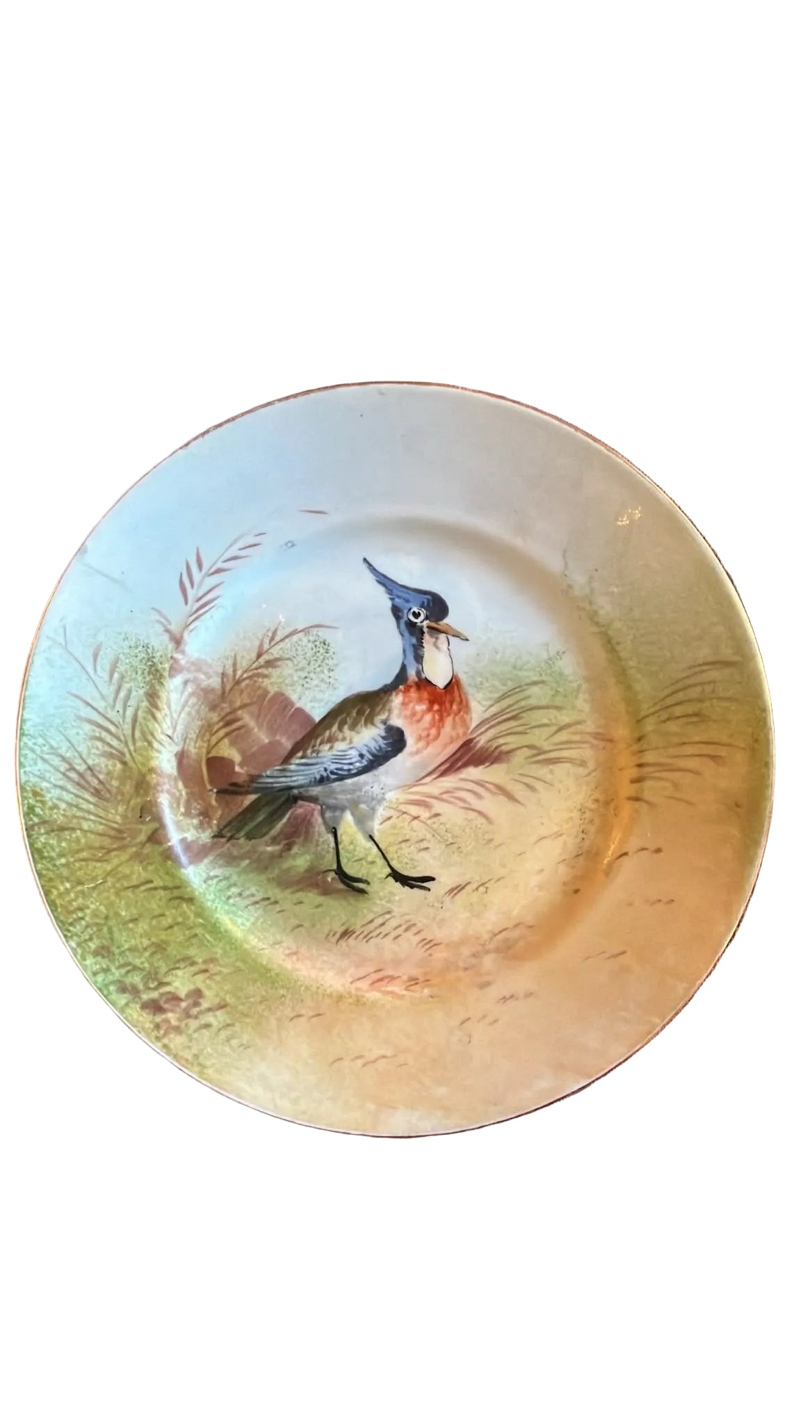 Assiette Limoges décor oiseau peint polychrome ancienne 23,3 cm