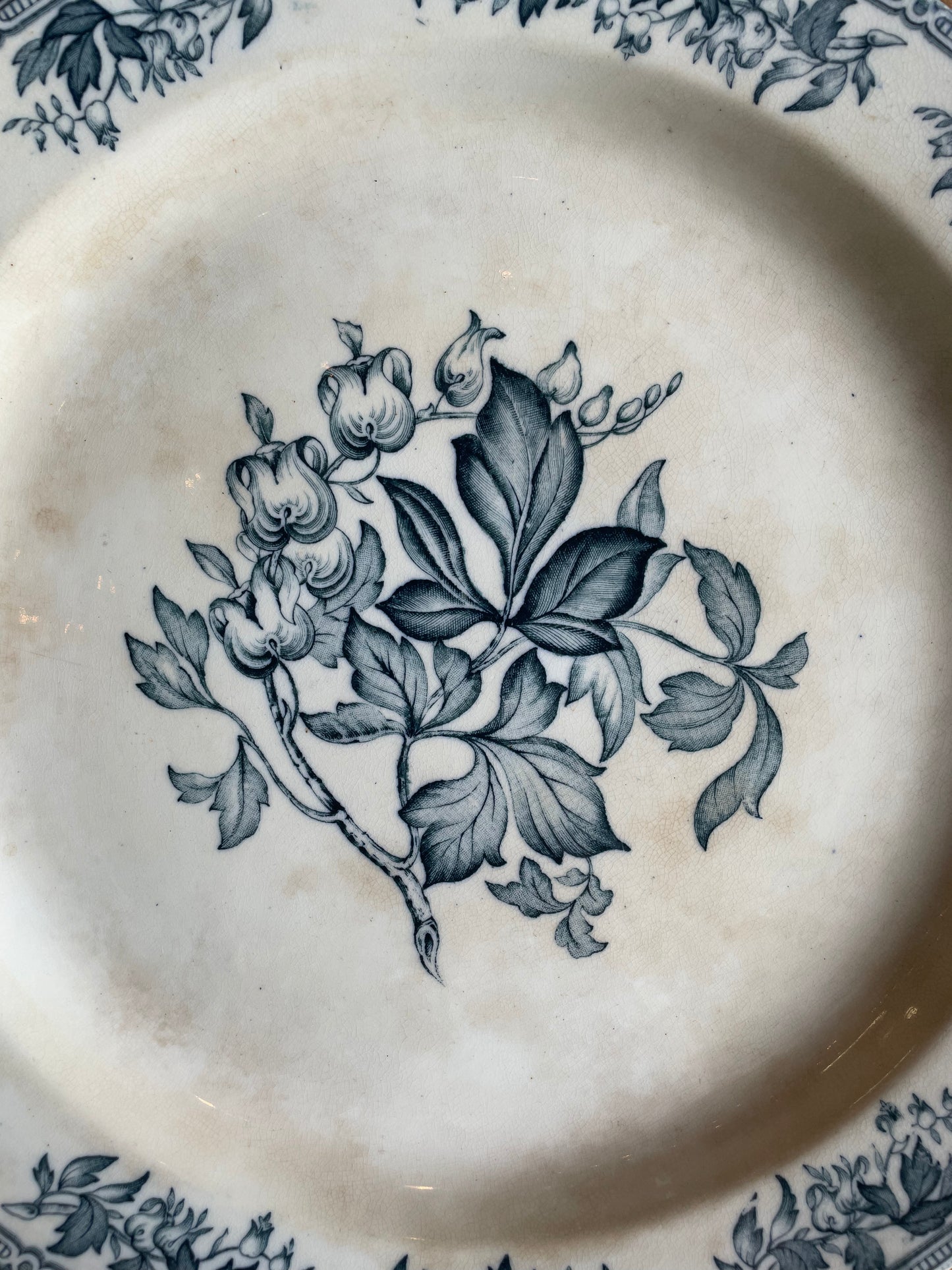 Grand plat ancien anglais Ivory Ware décor floral bleu faïence